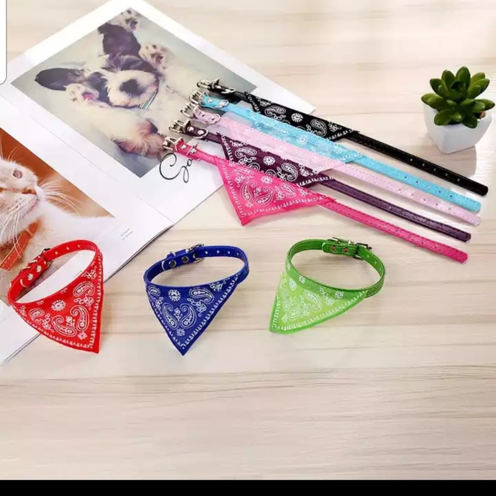 Small Bandana Collar